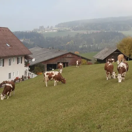 Sattelbauer Birkfeld