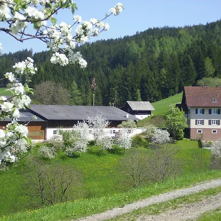 Sattelbauer Birkfeld
