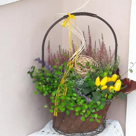 Apartamento Sattelbauer *